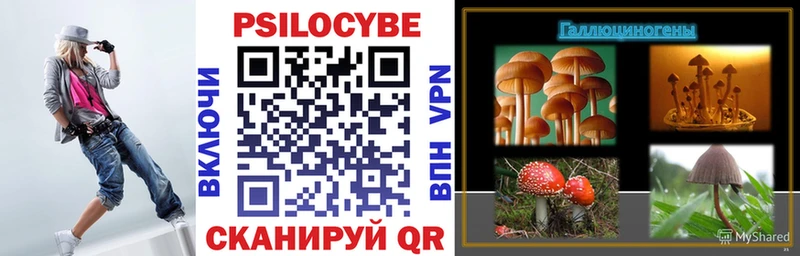 Галлюциногенные грибы Psilocybine cubensis  Приозерск 